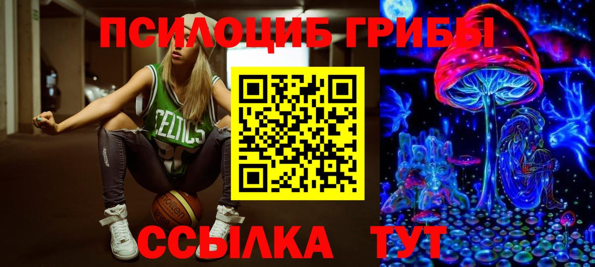 Белая Калитва  Псилоцибиновые грибы прущие грибы  Вход с VPN  Галлюциногенные грибы Psilocybine cubensis 
